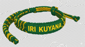 Plataforma de capacitaci&oacute;n y formaci&oacute;n de IRI KUYANA